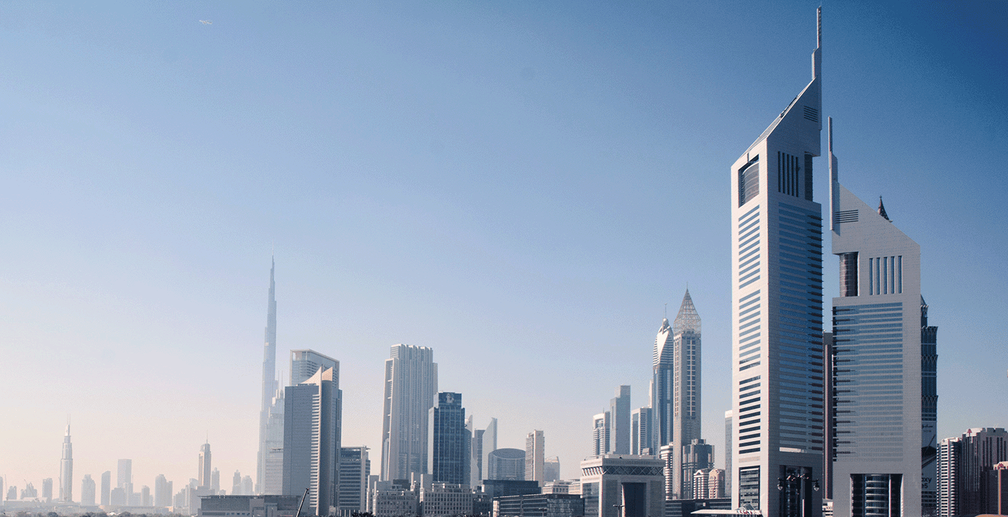 Investor Relations and Shareholder Engagement
